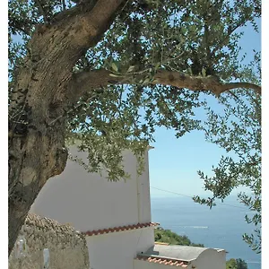 https://al-poggio-antico.hotels-amalfi.com