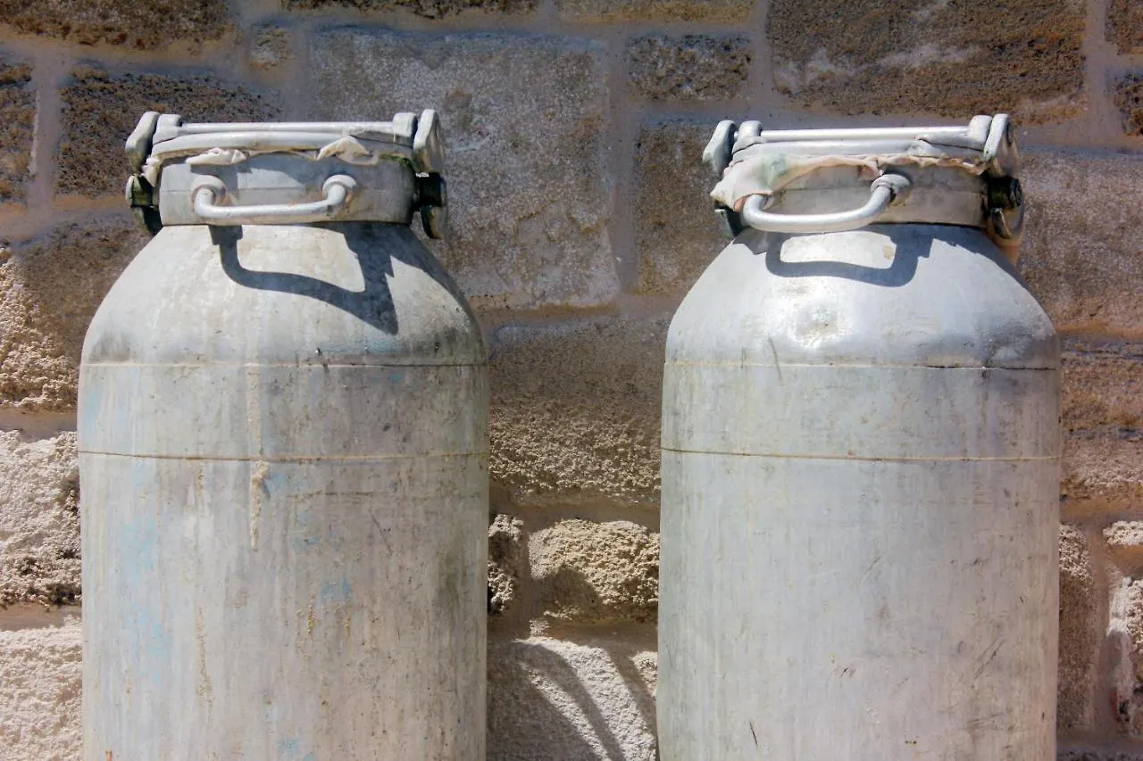 Casal Lluent Bed and Breakfast Αλγκέρο